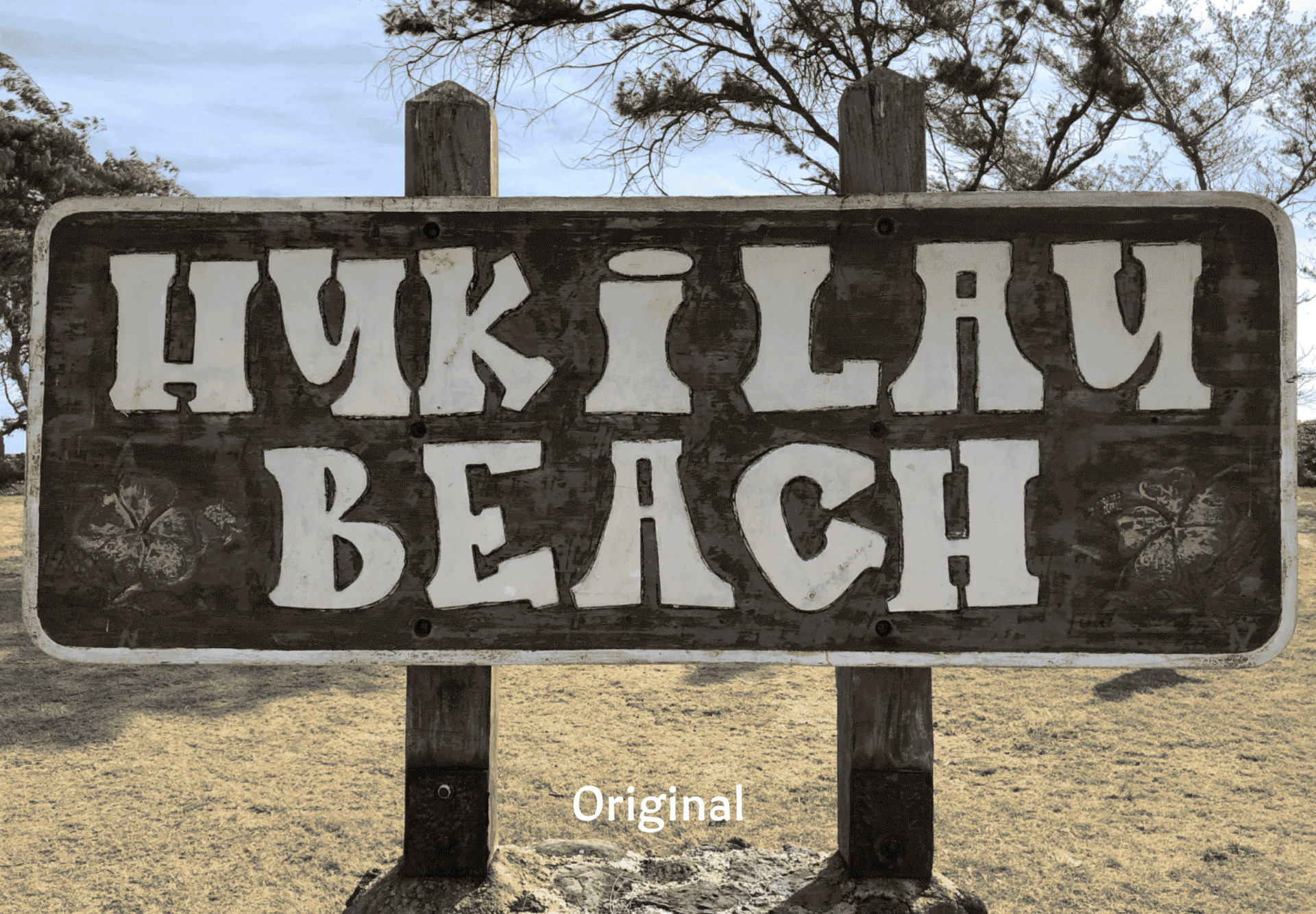 Hukilau Beach Refresh | Timbre Type