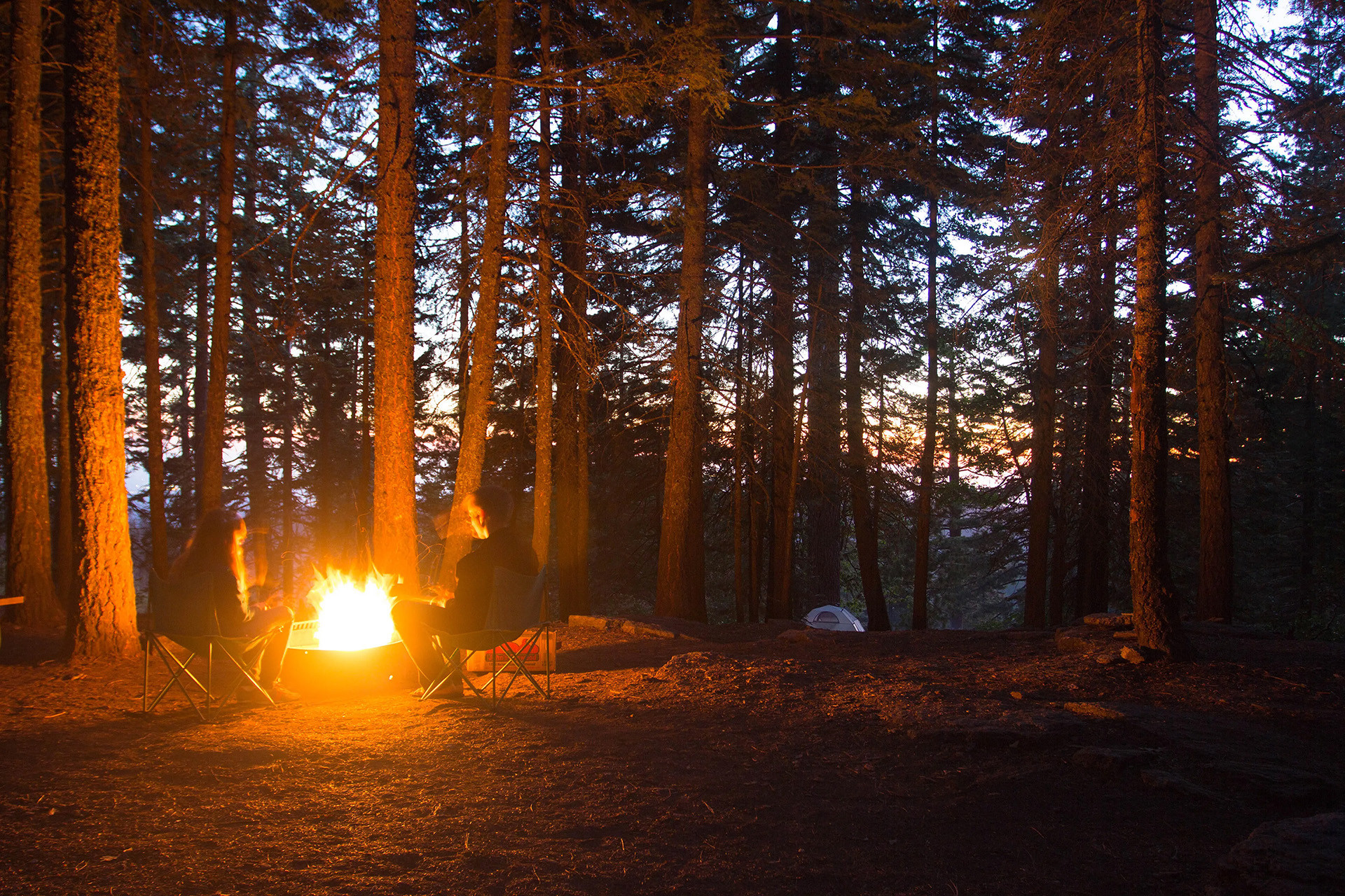 Two people sitting by a campfire during dusk in the woods at Sequoia