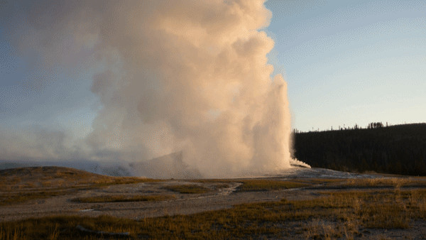 Old Faithful gyser at sunrise